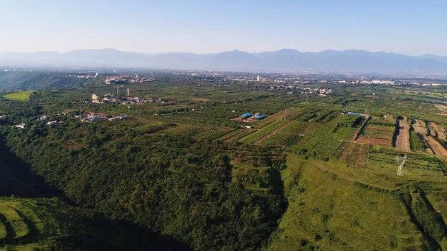 Një varrezë e lashtë në fshatin Jiangcun të qytetit Xian të provincës Shaanxi të Kinës Veriperëndimore./CMG