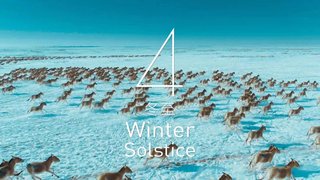 Fazat stinore të pranverës Fazat stinore të pranverës