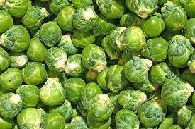 Lakra e Brukselit/ Agroweb.com Lakra e Brukselit/ Agroweb.com