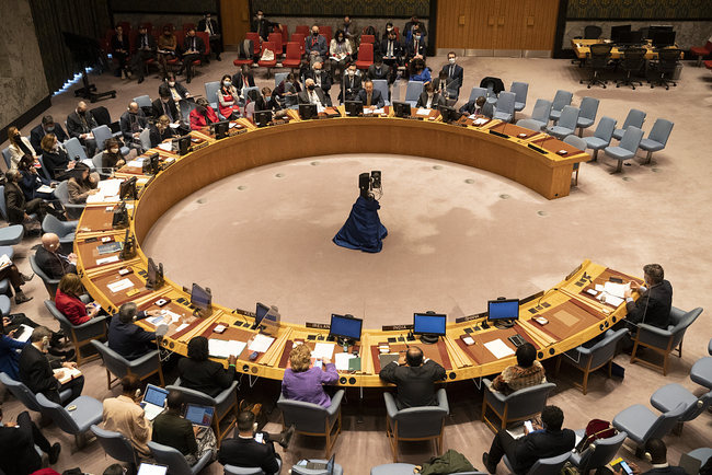 Këshilli i Sigurimit i OKB-së(Foto:VCG)