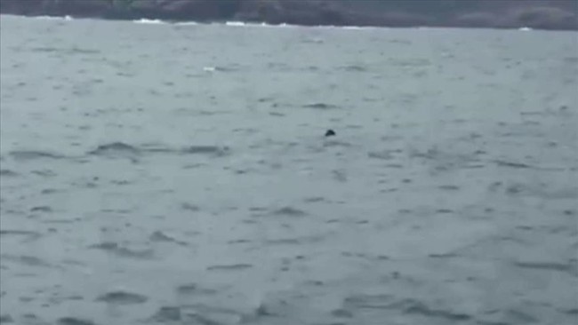 mina turqi, anadoluagency