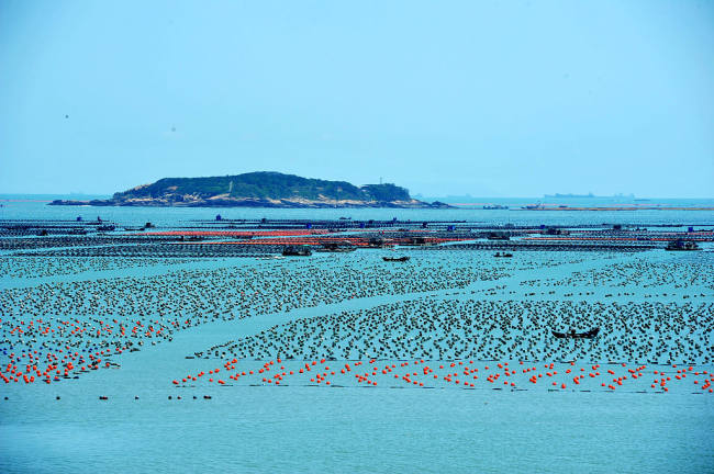 Fermera moderne detare në provincën Fujian të Kinës Juglindore/ VCG