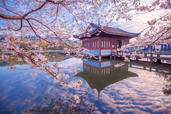 Liqeni Perëndimor(Xihu) në qytetin Hangzhou(Foto:VCG)