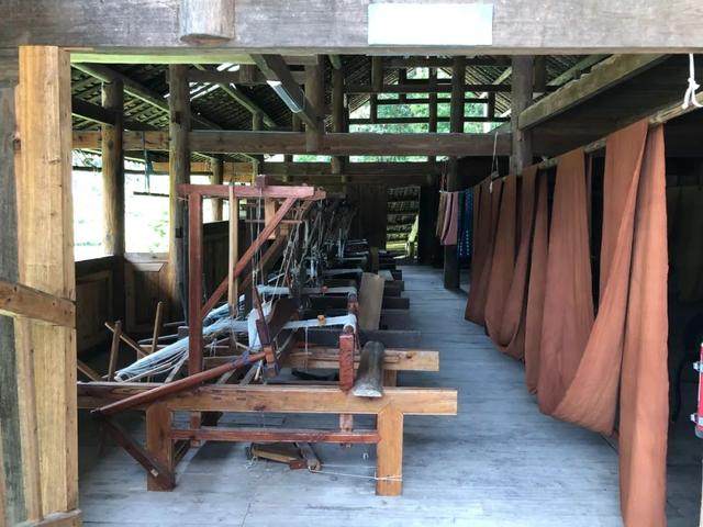 Studioja e Jetës Artificiale pranë Malit