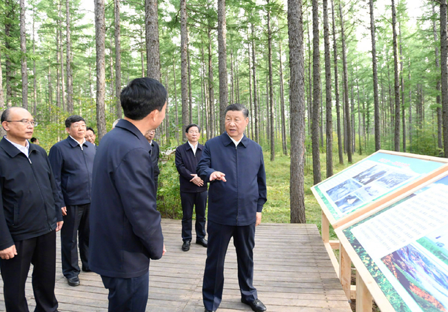 Čínský prezident Xi Jinping na návštěvě lesní farmy Saihanba v severočínské provincii Hebei, 23. srpna 2021. Fotografie: Tisková agentura Nová Čína / Xinhua