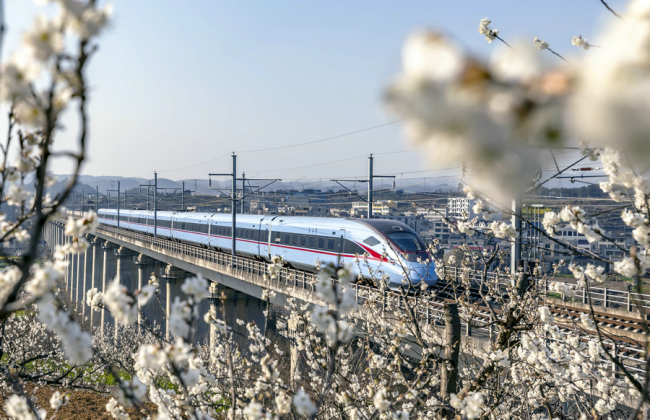 Vlak jede po vysokorychlostní železnici mezi Chengdu (Čcheng-tu) a Guizhou (Kuej-čou). Vše se noří do jara. [Fotografie: Fan Hui (Fan Huej) / tisková agentura Nová Čína (Xinhua/Sin-chua)]