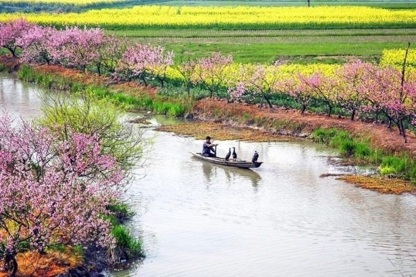 Muž vesluje na lodi na venkově ve městě Ningbo (Ning-po) v provincii Zhejiang ve východní Číně. [Fotografii poskytl web chinadaily.com.cn.]