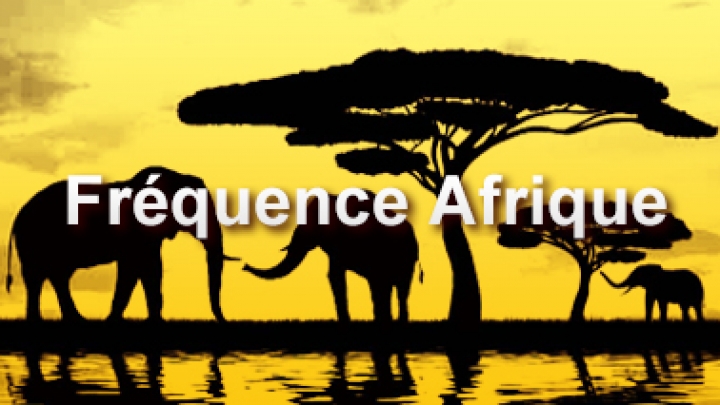 Fréquence Afrique Afr53