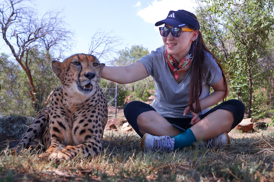 Liu Xiaoxiao, freiwillige Helferin im südafrikanischen Gepardenreservat 
