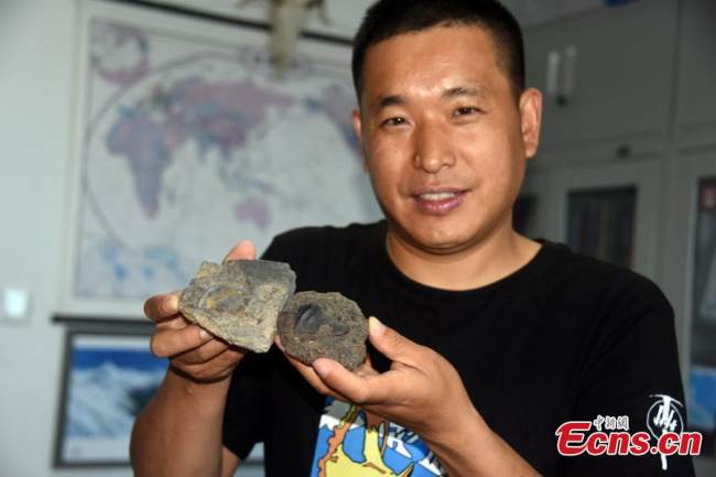 Ένας ερευνητής παρουσιάζει απολιθώματα δοντιών ψαριών που χρονολογούνται από 290 εκατομμύρια χρόνια πριν, στις 26 Αυγούστου 2021. (Φωτογραφία: China News Service)