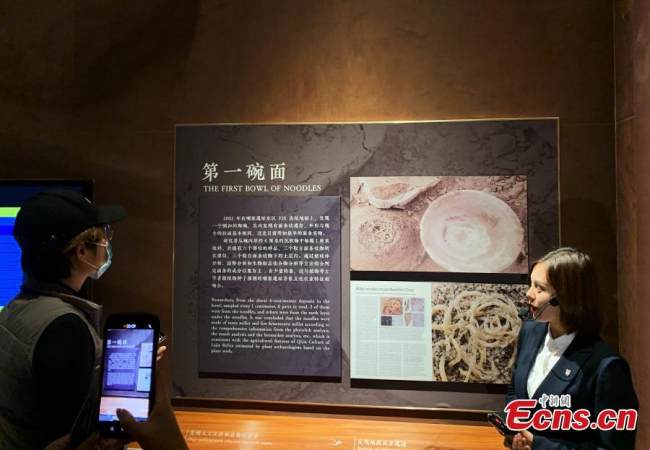 Μια ξεναγός παρουσιάζει τα παλαιότερα νουντλς στον κόσμο στους επισκέπτες στις 17 Οκτωβρίου στο Μουσείο των Ερειπίων Λατζιά, στην κομητεία Μινχέ της επαρχίας Τσινγκχάι της βορειοδυτικής Κίνας. (Φωτογραφία / China News Service)