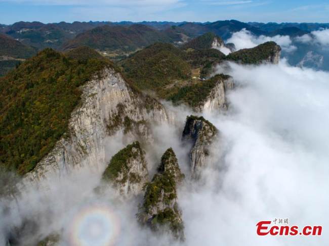 Κορυφές βουνών καλύπτονται από μια θάλασσα από σύννεφα στο Εθνικό Γεωπάρκο του Μεγάλου Φαραγγιού του Ενσί, στην Αυτόνομη Νομαρχία Νομαρχία Ενσί Τουτζιά και Μιάο, στην επαρχία Χουμπέι της κεντρικής Κίνας, στις 30 Οκτωβρίου 2021. (Φωτογραφία: China News Service)