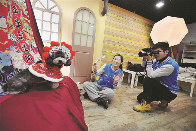 Τραβώντας φωτογραφίες ενός στολισμένου σκύλου σε ένα φωτογραφικό στούντιο στο Τσανγκτσούν, στην επαρχία Τζιλίν. (CHINA NEWS SERVICE)