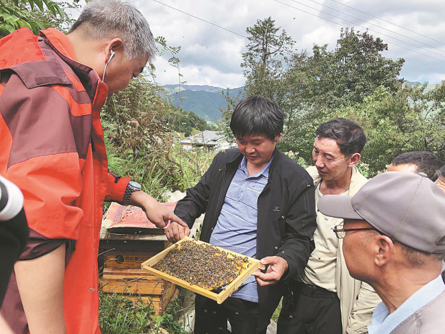 Ο Κουάνγκ Χαϊόου δείχνει στους χωρικούς πώς να επιλέγουν κατάλληλες περιοχές για την μελισσοκομία στο χωριό Σιντζού του Λιτζιάνγκ, επαρχία Γιουνάν. (CHINA DAILY)