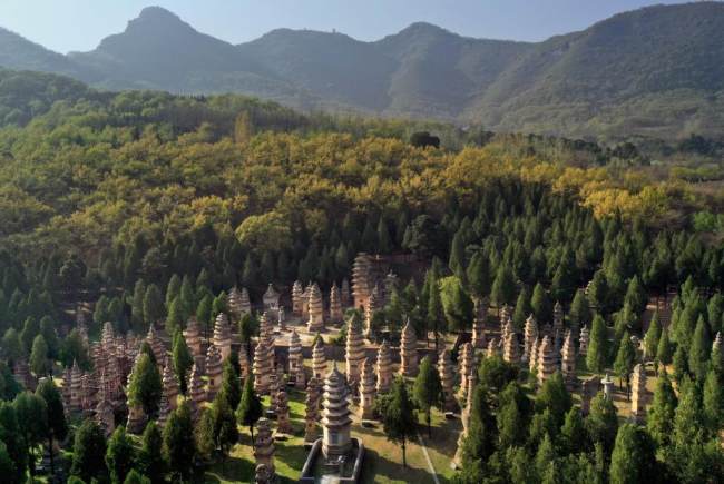 Αεροφωτογραφία που τραβήχτηκε στις 7 Απριλίου 2022, δείχνει το δάσος με τις παγόδες στο ναό Σαολίν στην Ντενγκφένγκ (登封: Dēng fēng) της επαρχίας Χενάν (河南: Hénán) της κεντρικής Κίνας. 