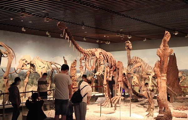 Επισκέπτες σε μια έκθεση με απολιθώματα δεινοσαύρων στο Μουσείο Ναντζίνγκ στην επαρχία Τζιανγκσού της ανατολικής Κίνας στις 15 Μαΐου 2022. [Φωτογραφία/VCG]