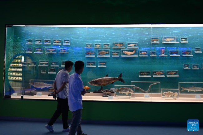 Σις 18 Ιουλίου επισκέπτες στο μουσείο της προστατευόμενης περιοχής συγκαλλιέργειας ρυζιού-ψαριού στην επαρχία Τσινγκτιέν, στην επαρχία Τζετζιάνγκ της ανατολικής Κίνας.