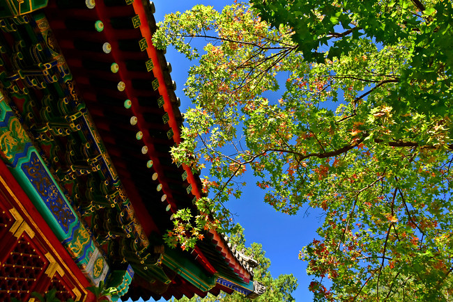 Instantanee de toamnă în Colina Parfumată