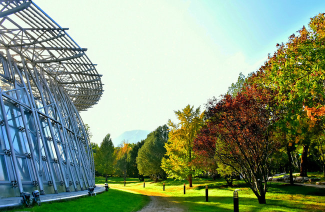 Toamna, la Grădina Botanică Beijing