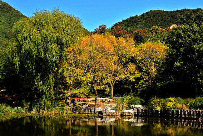 Toamna, la Grădina Botanică Beijing