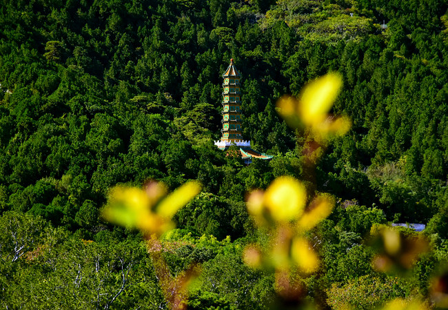 Instantanee de toamnă în Colina Parfumată