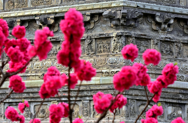 Florile de primăvară dau splendoare parcului Linglong