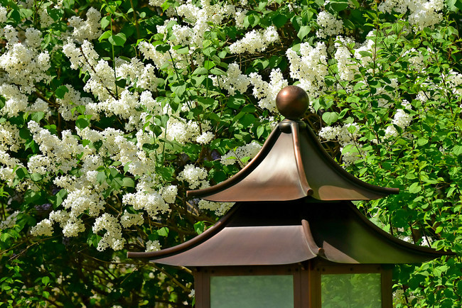 Florile din curtea Palatului Imperial se întrec în frumusețe