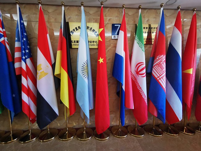 Povestea unui tânăr malaezian care învață acupunctură în China