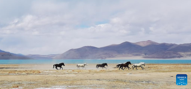 Tibet daje prioritet ekološkoj zaštiti u svom razvoju