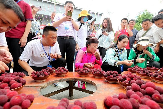 Festival planinske breskve u Guidžouu