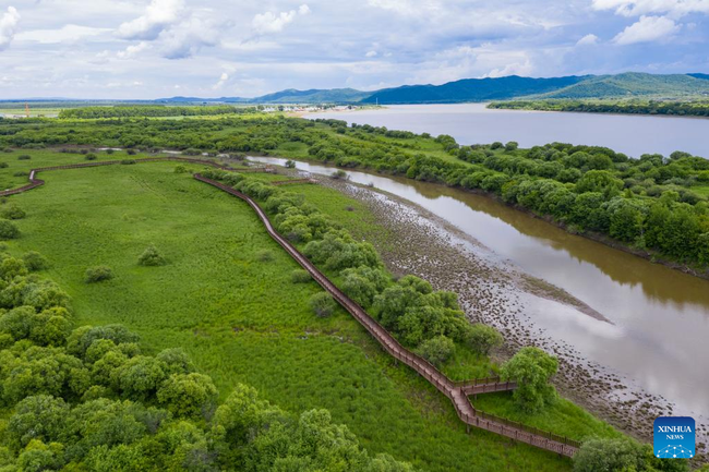 Državni močvarni park u Heilungđijangu